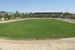 زمین چمن طبیعی