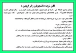 دانشجویان زائر اربعین