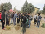 گزارش مراسم درختکاری در آموزشکده  5