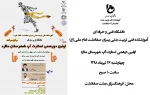 اولین دورهمی استارتاپ شهرستان ملارد 2