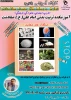 پوستر کارگاه  عوارض و پیامد های مصرف مواد مخدر