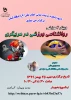 روانشناشی ورزشی در مربیگری 99.11.25