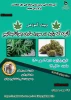 وبینار ماری جوانا