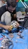 آغاز به کار خدمت‌رسانی موکب‌های مهارتی دانشجویان دانشگاه فنی و حرفه‌ای مستقر در کربلای معلی
 6