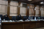برگزاری جلسه شورای مدیران دانشگاه فنی و حرفه ای استان تهران
 5