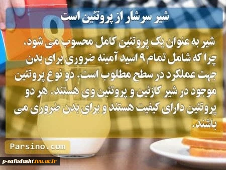 فواید مصرف لبنیات 6