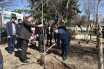 با حضور رئیس دانشگاه فنی و حرفه‌ای کشور صورت گرفت:
غرس چند اصله نهال در دانشکده فنی و حرفه‌ای شهید شمسی‌پور
 3