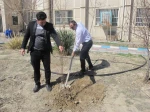 کاشت نهال توسط ریاست محترم آموزشکده 2