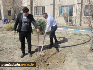 کاشت نهال توسط ریاست محترم آموزشکده 2