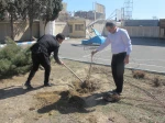 کاشت نهال توسط ریاست محترم آموزشکده 4