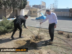 کاشت نهال توسط ریاست محترم آموزشکده 4