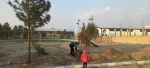کاشت نهال توسط ریاست محترم آموزشکده 5