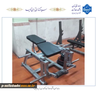 تجهیز و به روز رسانی تجهیزات ورزشی سالن وزنه گروه تربیت بدنی دانشکده صفادشت (کشاورزی - تربیت بدنی)