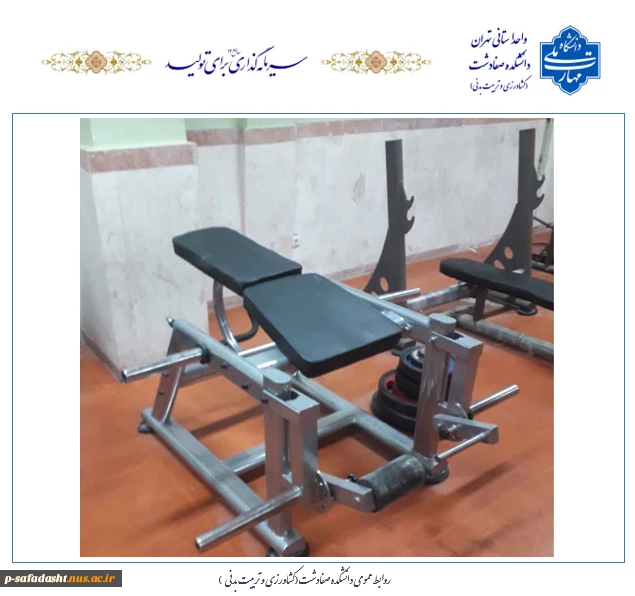تجهیز و به روز رسانی تجهیزات ورزشی سالن وزنه گروه تربیت بدنی دانشکده صفادشت (کشاورزی - تربیت بدنی)