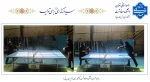 برگزاری مسابقه  تنیس روی میز  ویژه خانم ها  2
