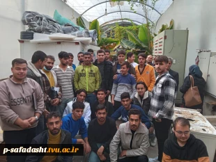 بازدید علمی دانشجویان درس کارآفرینی استاد حسنی از گلخانه دهک 3