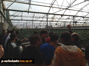 بازدید علمی دانشجویان درس کارآفرینی استاد حسنی از گلخانه دهک 4