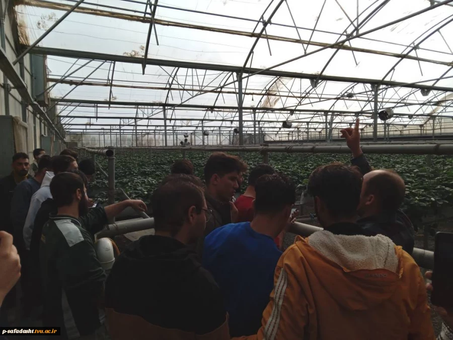 بازدید علمی دانشجویان درس کارآفرینی استاد حسنی از گلخانه دهک 4