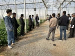 بازدید علمی دانشجویان درس ماشین ها و تجهیزات باغبانی استاد نسیم حبیبی از گلخانه آقای دهقان 2