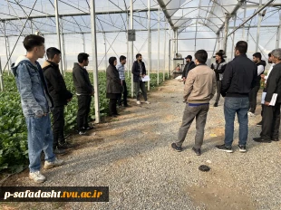 بازدید علمی دانشجویان درس ماشین ها و تجهیزات باغبانی استاد نسیم حبیبی از گلخانه آقای دهقان 2