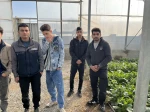 بازدید علمی دانشجویان درس ماشین ها و تجهیزات باغبانی استاد نسیم حبیبی از گلخانه آقای دهقان 2
