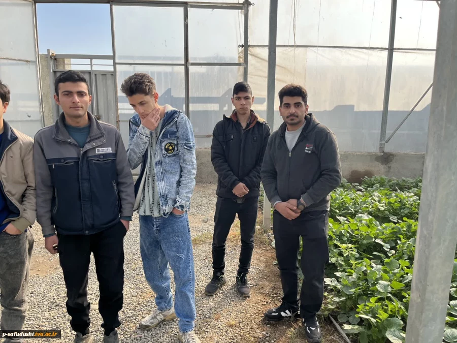 بازدید علمی دانشجویان درس ماشین ها و تجهیزات باغبانی استاد نسیم حبیبی از گلخانه آقای دهقان 2