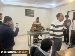 دوره عملی آموزش واکسیناسیون و تزریقات در دام های کوچک در دانشکده صفادشت برگزار شد 5