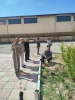 کاشت نهال به یاد شهدای جنگ رمضان در دانشکده صفادشت (کشاورزی ـ تربیت‌بدنی) 5