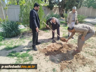کاشت نهال به یاد شهدای جنگ رمضان در دانشکده صفادشت (کشاورزی ـ تربیت‌بدنی) 9