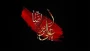 شهادت امام رضا (ع) تسلیت باد